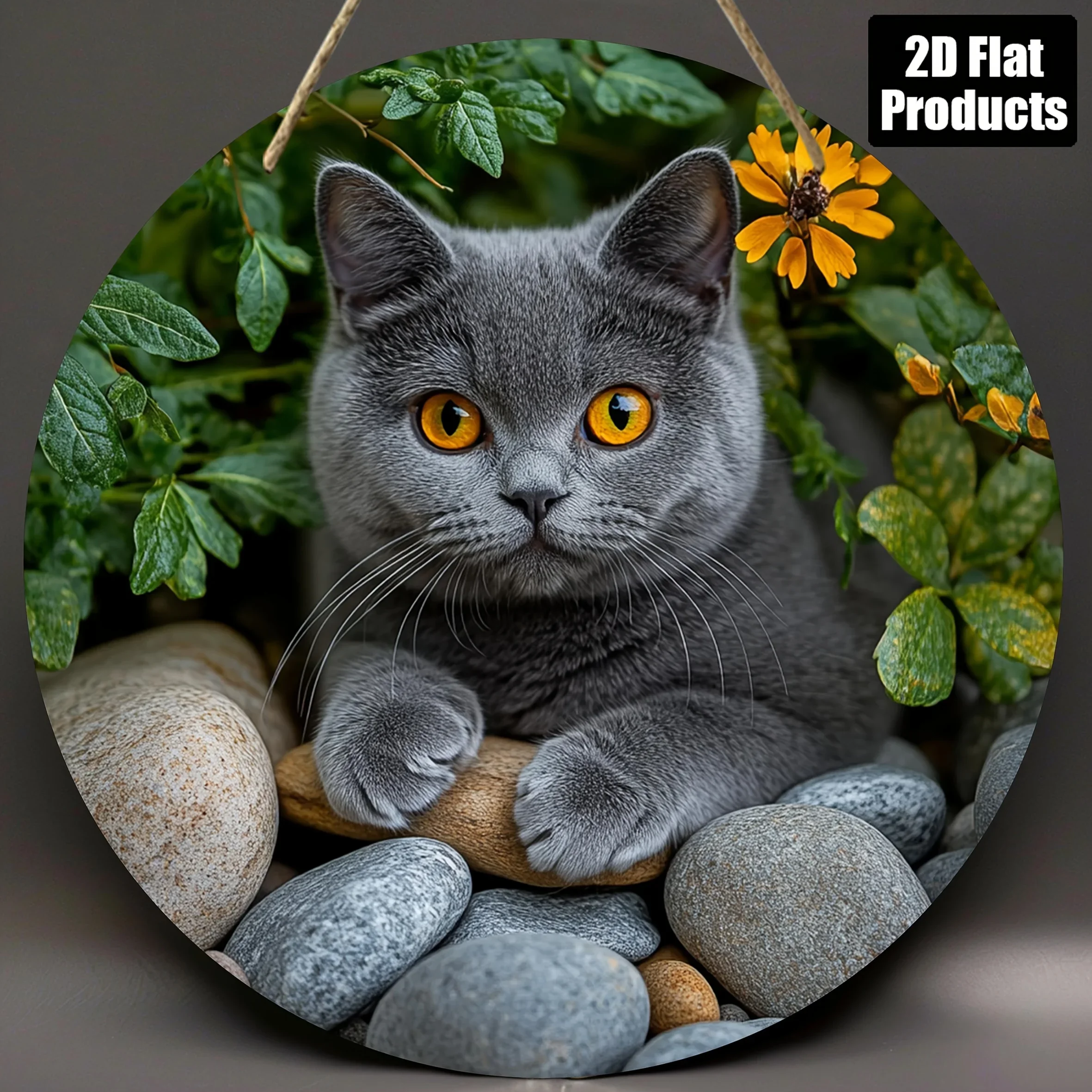 2D Flat, Round Wooden Decorative Wall Art - British Shorthair Cat with Vibrant Orange Eyes, 20.32cm Round Hanging Ornament for H