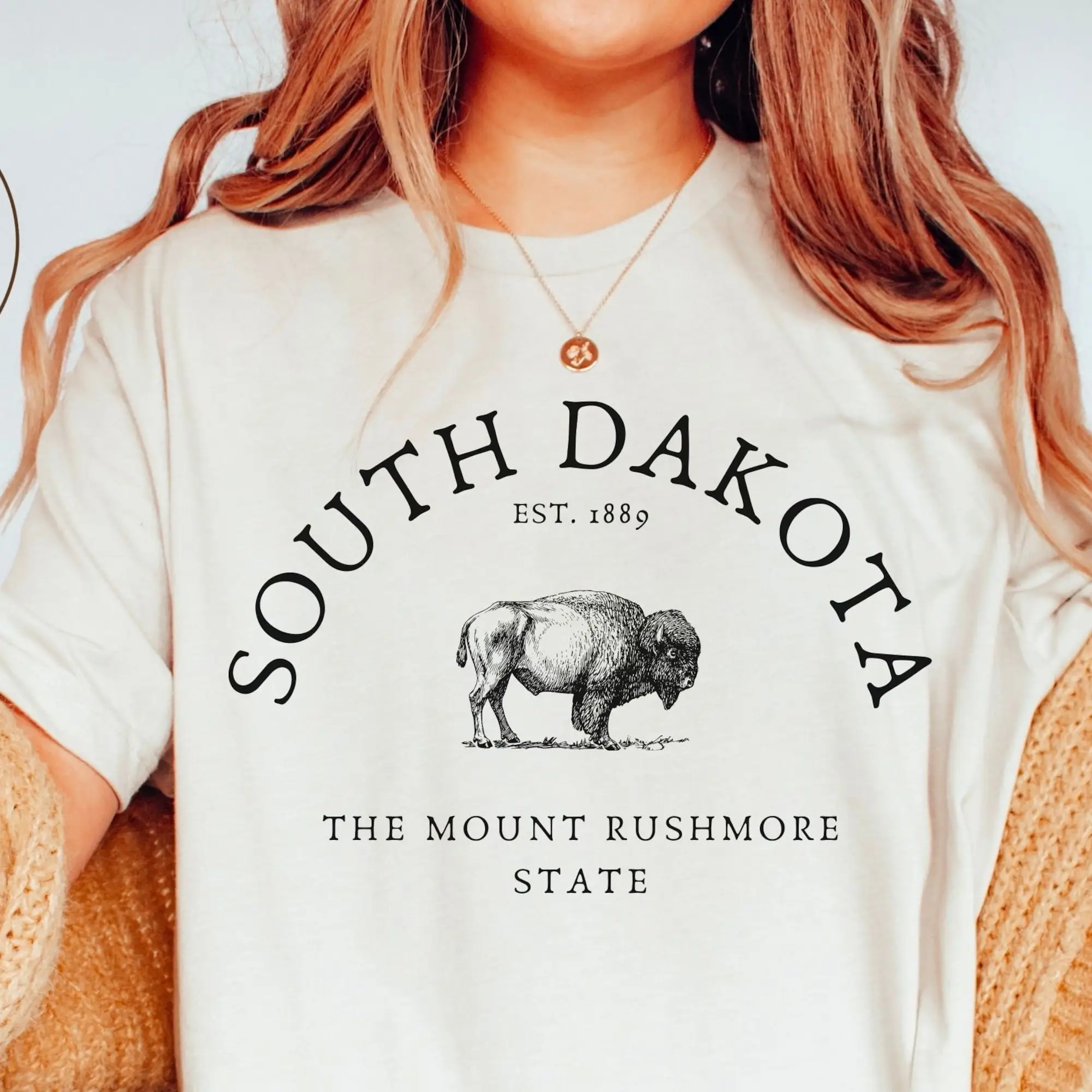 South Dakota Shirt, Mount Rushmore State T-shirt