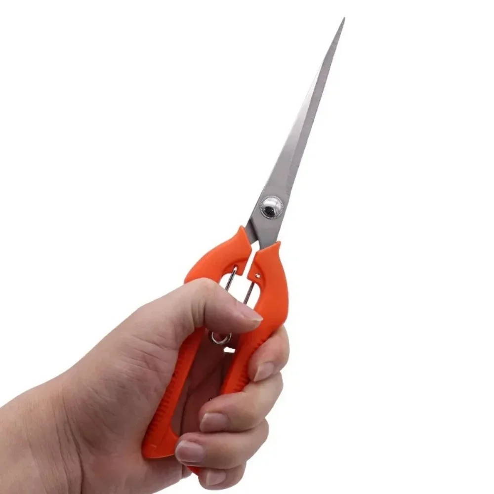 مقصات تشذيب الحدائق المهنية الفولاذ المقاوم للصدأ زهرة بونساي مقص المحمولة الجديدة البستنة أدوات يدوية مقصات قطف الفاكهة #5