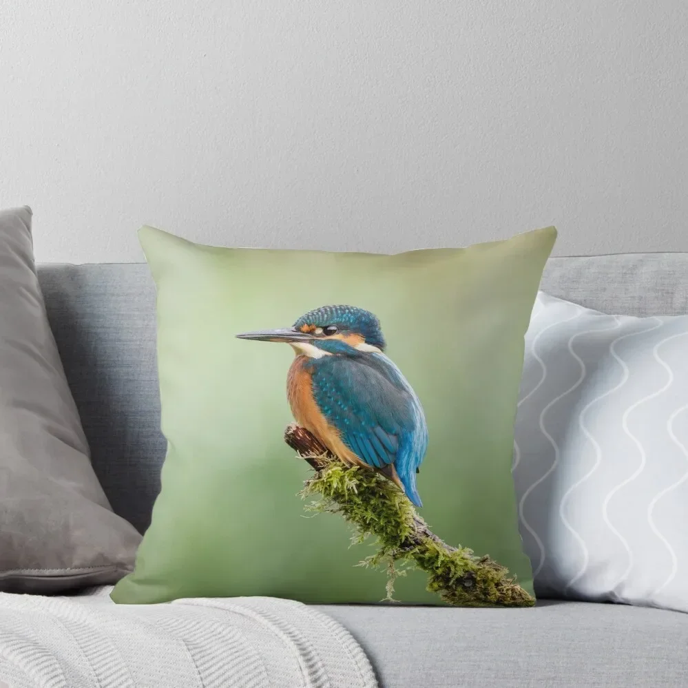 Kingfisher Perched Throw Pillow Pillow Case Christmas Christmas Cushion For Home Ornamental Pillow Cushions