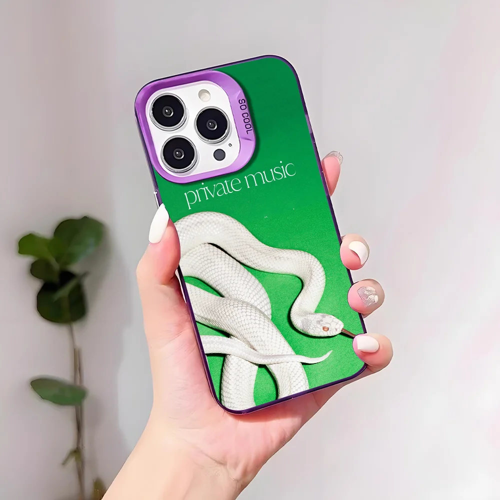 D-Deftones Band Phone Case For IPhone 17 16 15 14 13 12 11 Pro Max Plus Mini IMD Color Silver Shell