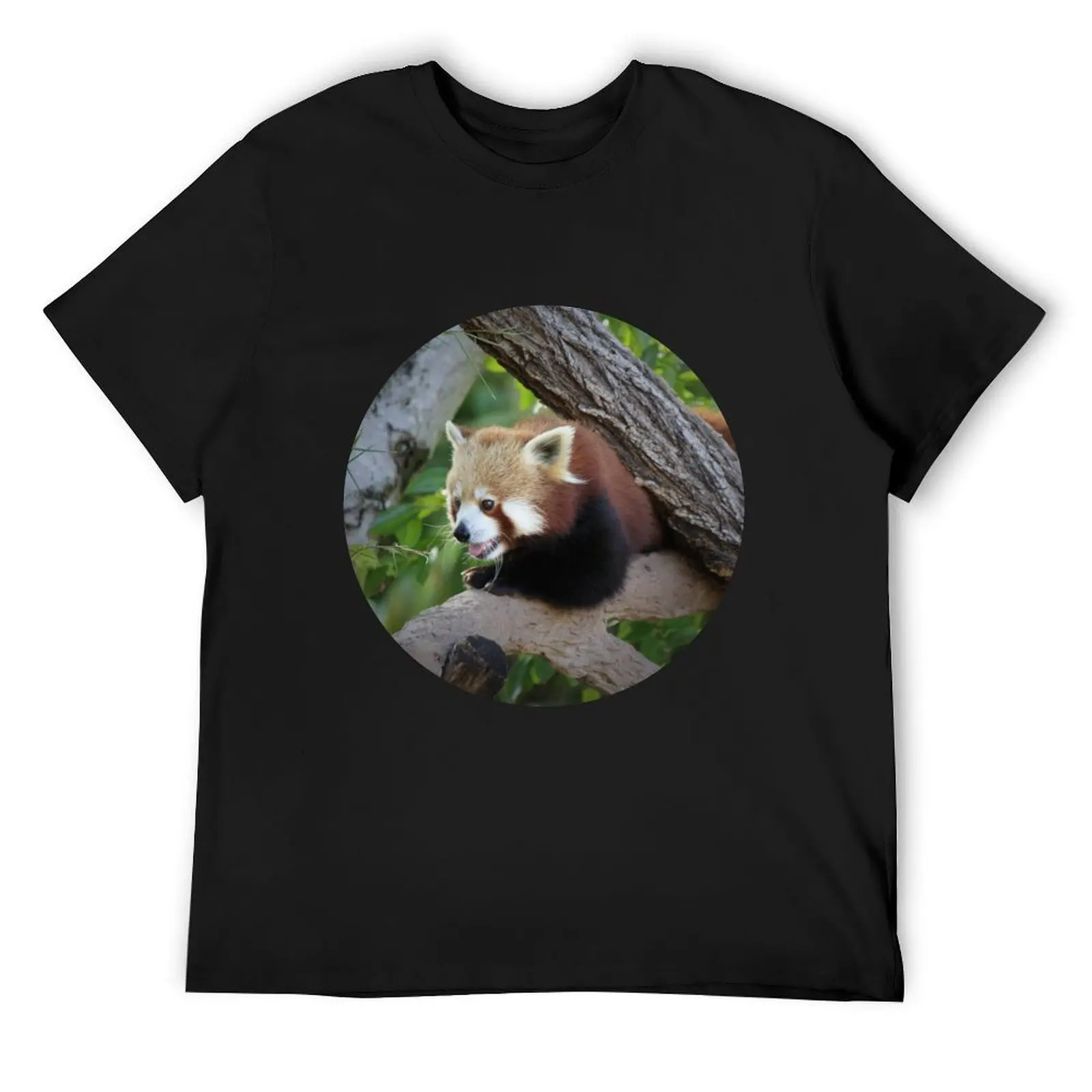 

Cheeky Red Panda T-Shirt