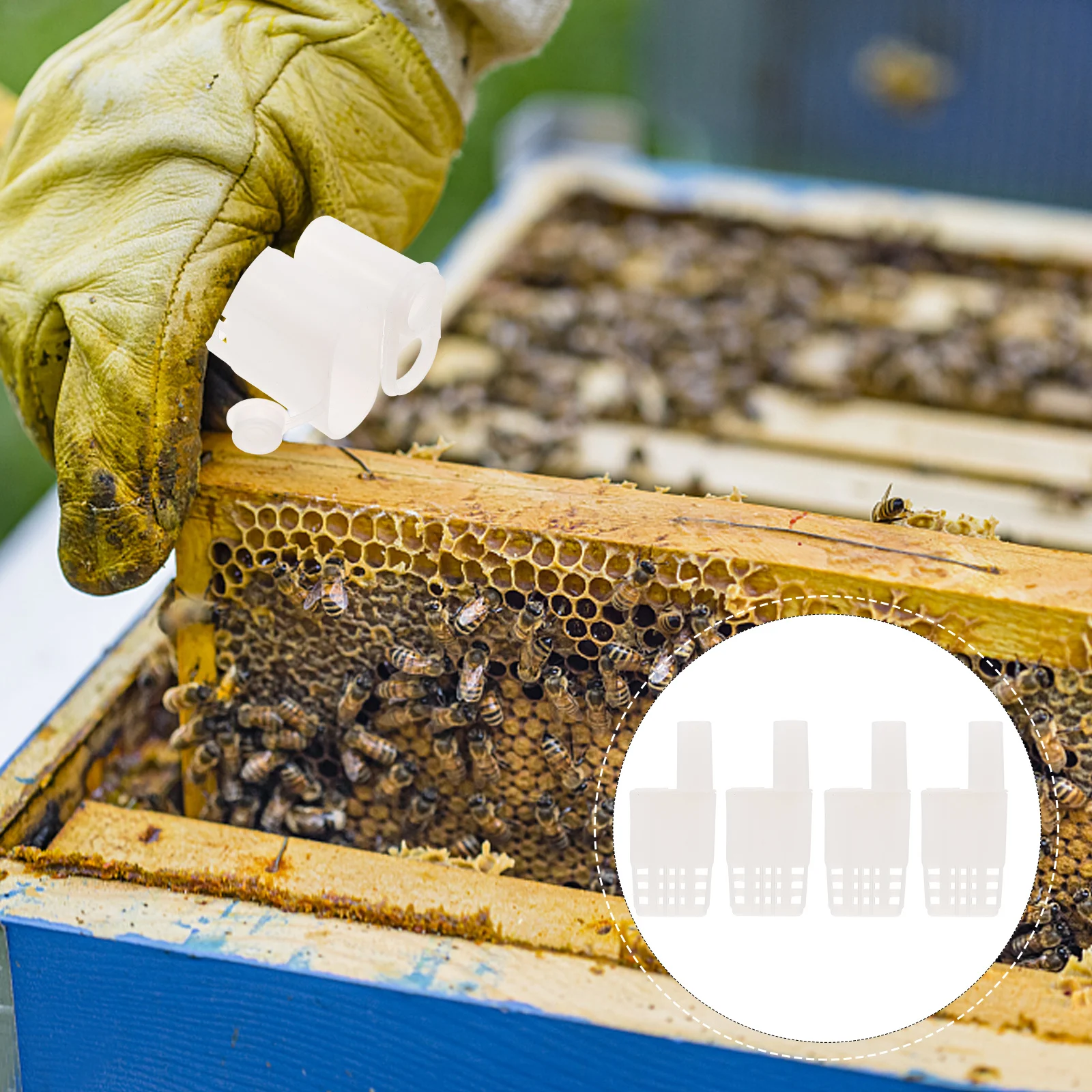 

10pcs Cages Plastic Beekeeping Tool For Hive Inspection Colony Division Lightweight Beekeeper Transport Cage Bee Cages