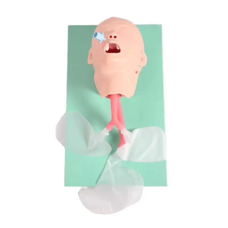 Advanced Human Pediatric Endotracheal Intubation Training Model with PVC Material Durable Simulated Children's Throat