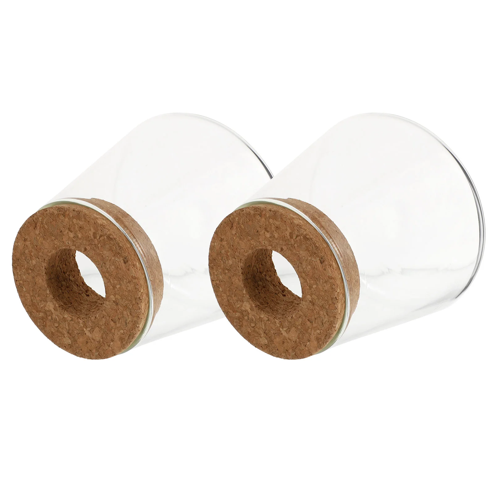 

2 Pcs Glass Eco Bottle Containers Door Store Clear Hydroponics Vase Planter Wedding Office