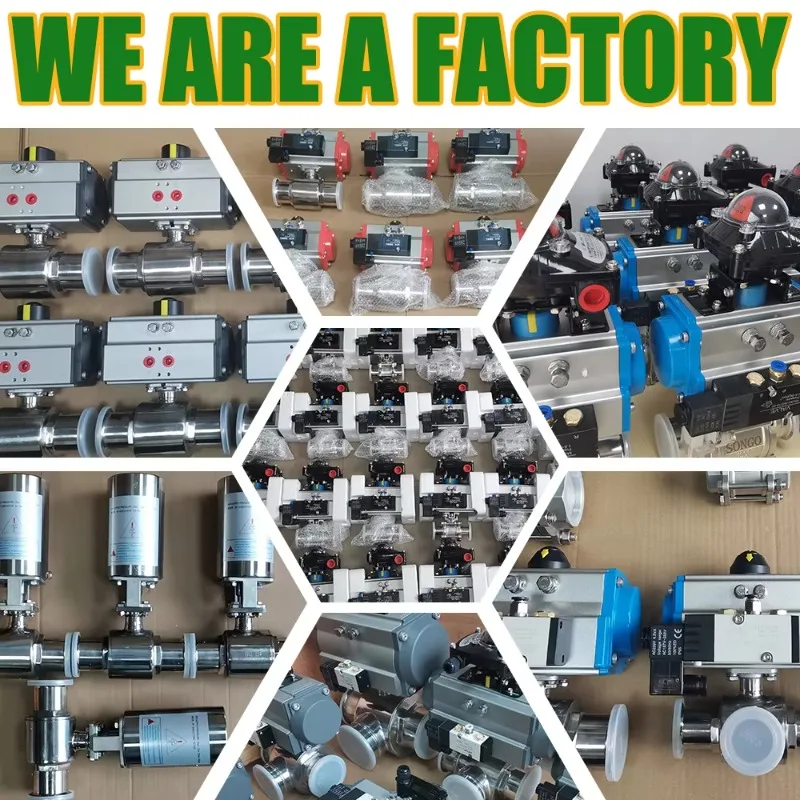 2 بوصة الغذاء الصف الطويق نوع Ss316l الفولاذ المقاوم للصدأ الصحية واحدة المفعول صمام كروي هوائي #4