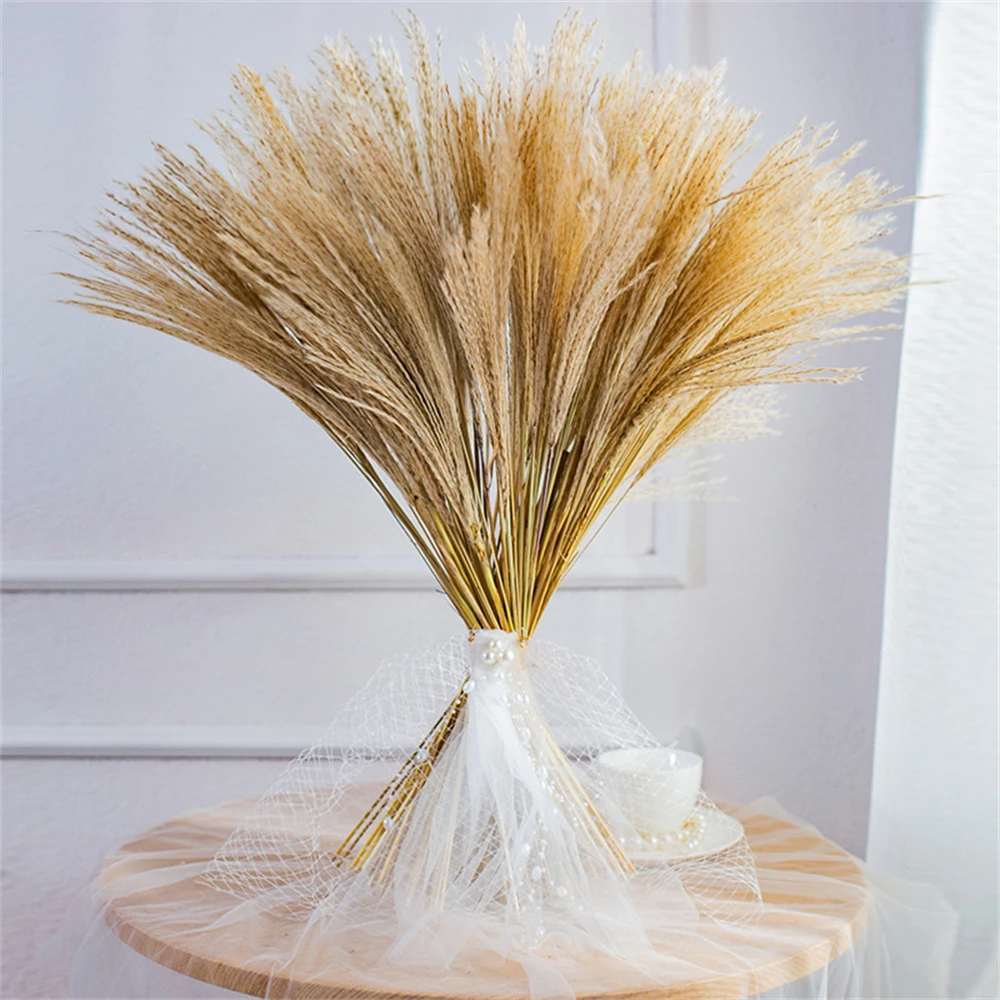 Real Dried Small Pampas Grass, Wedding Flower Bunch, Natural Plants, Home Decor Dried Flowers, Phragmites Ornament, 50-60cm