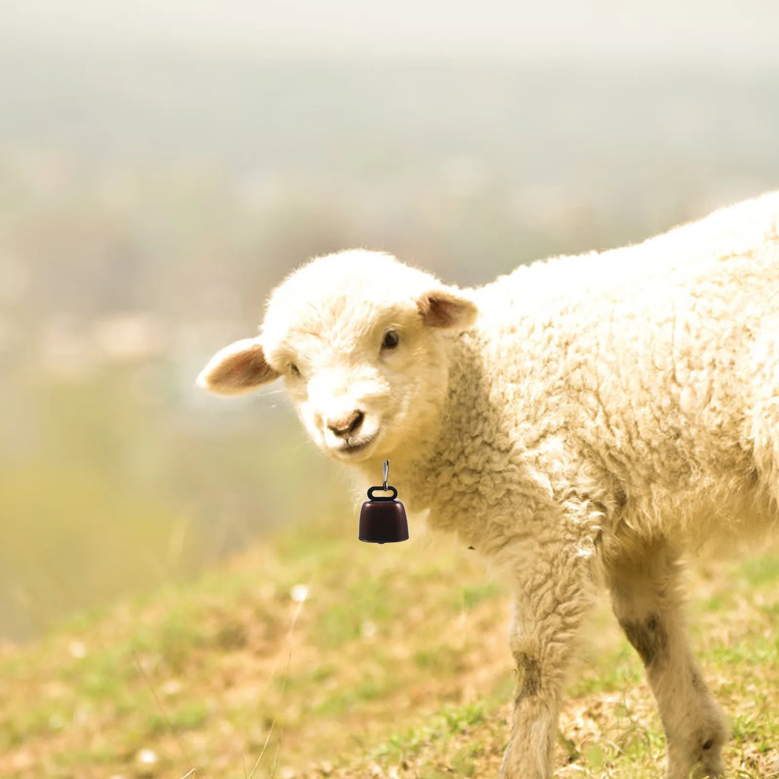 

3 set Pet Dog Metal Clear Loud Sound Anti-Lost Hanging Bell For Collar Outdoor Camping Traveling Bell Decor Small Bells For Cat