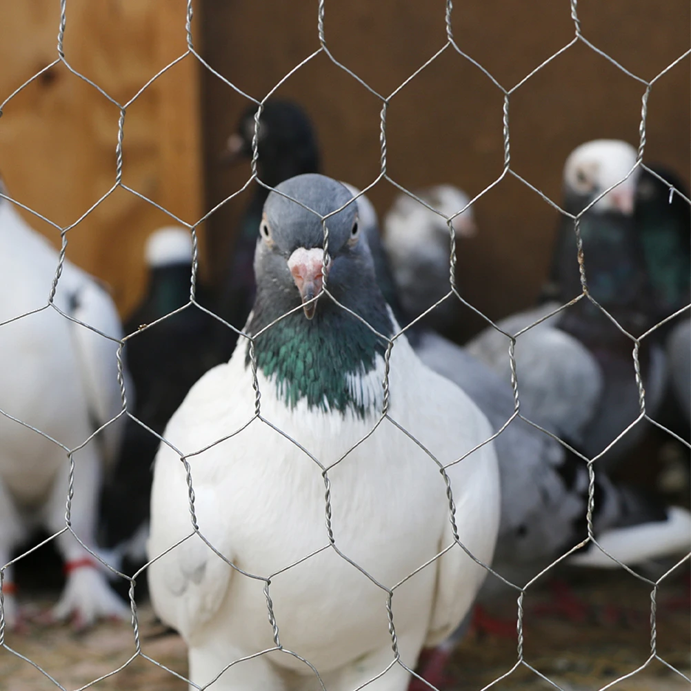 

2 Pcs Hexagonal Net Decoration Mesh Wire Netting Material Poultry for Chicken Fencing Garden