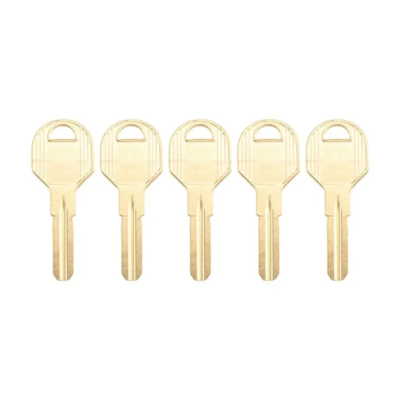 SHGO-For EVVA ICS Lock Cylinder Compatible- 5-Piece Set Of Universal Key Blanks, Uncut Custom Design For Residential Keys