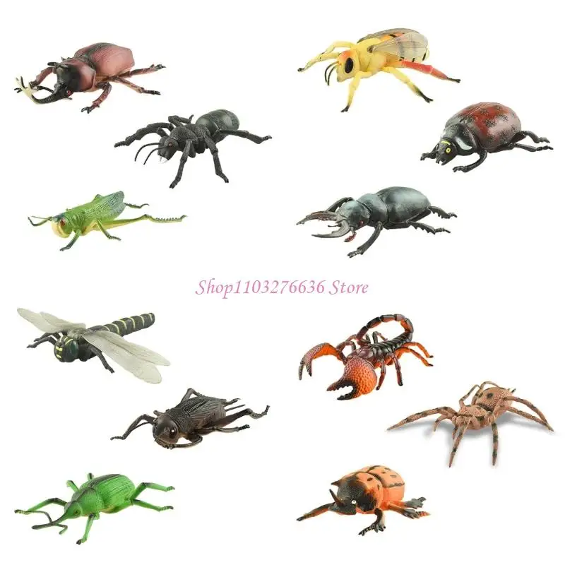 R6FD Realistic Insect Figures For Teaching Animal Anatomy Classroom Demonstration Toy