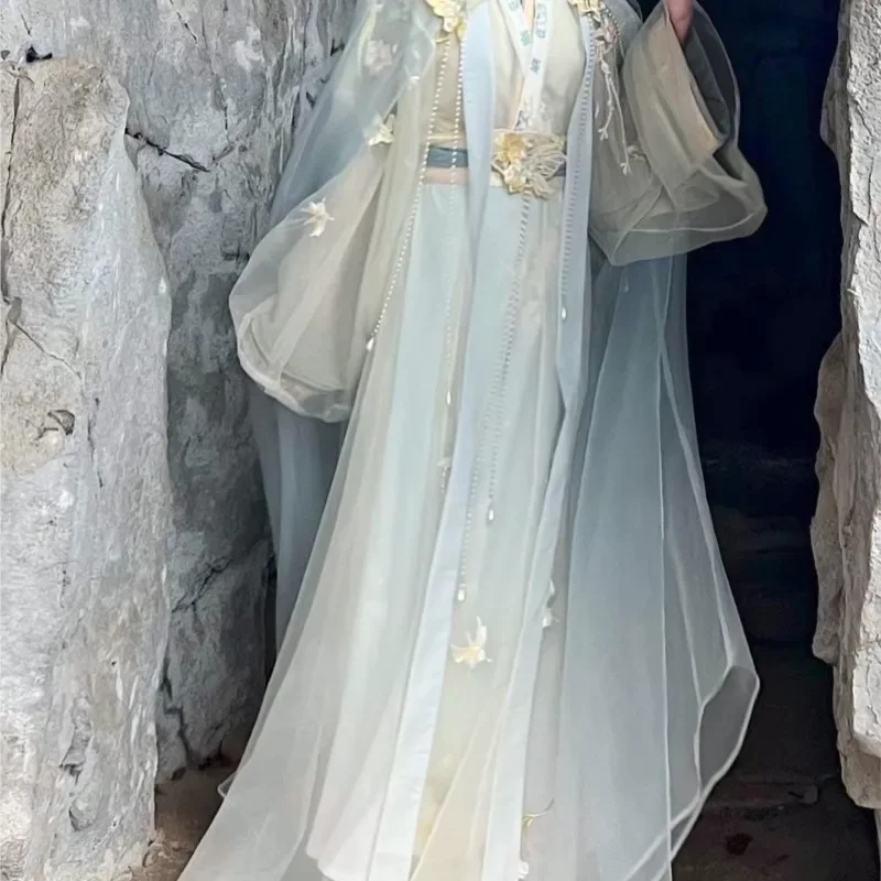 Hanfu Jin-Jupe brodée à la taille pour femme, costume de prairie pour adulte, vêtements une pièce cassés, nouveau