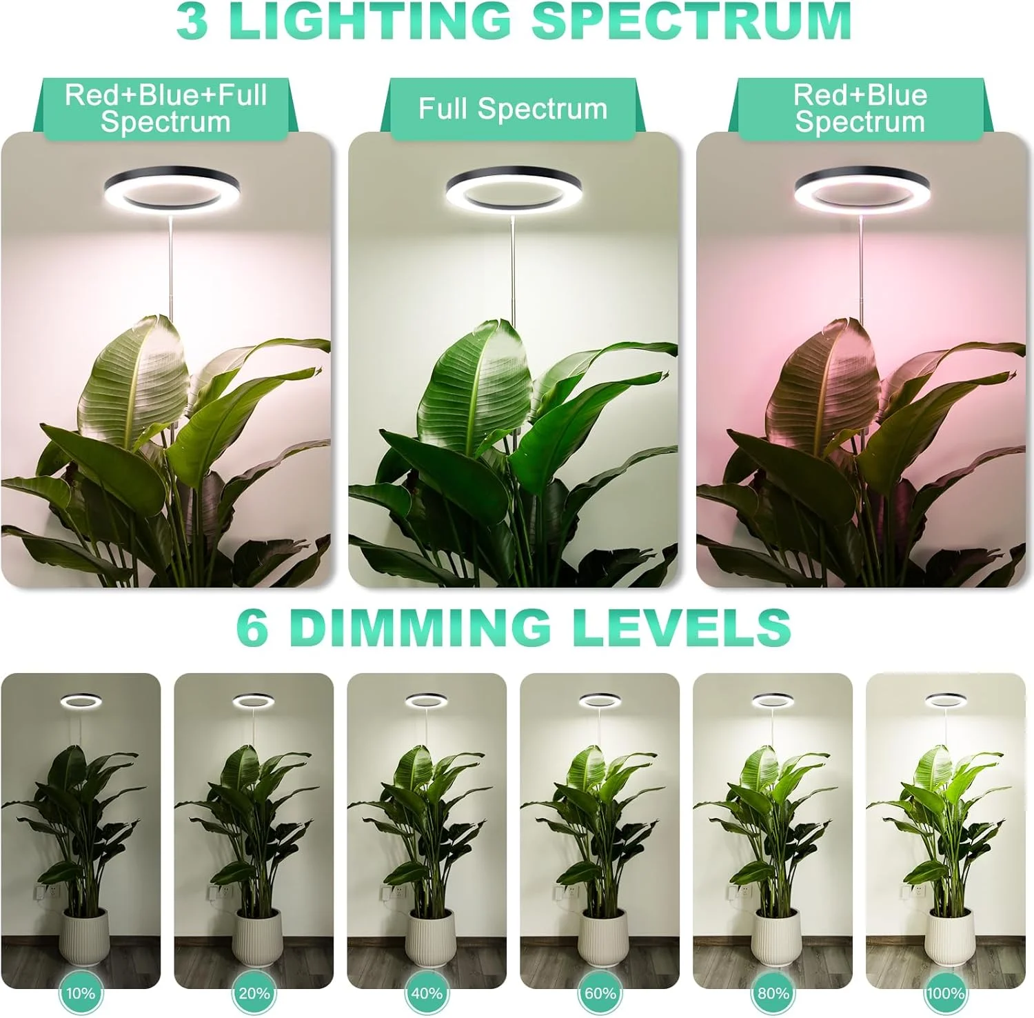 Full Spectrum LED Ring Grow Light with Warm White & Red Light, Adjustable Height &with Auto On Timer for Monstera & Philodendron
