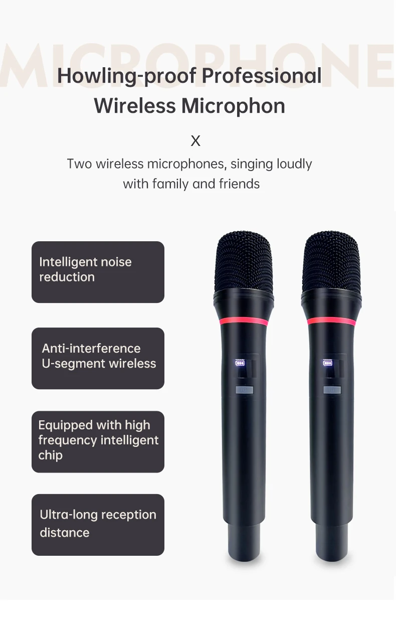 Riotouch Portable Karaoke Set System Professional Karaoke System With 14 Inch LED Screen Home Sound System Karaoke Entertainment