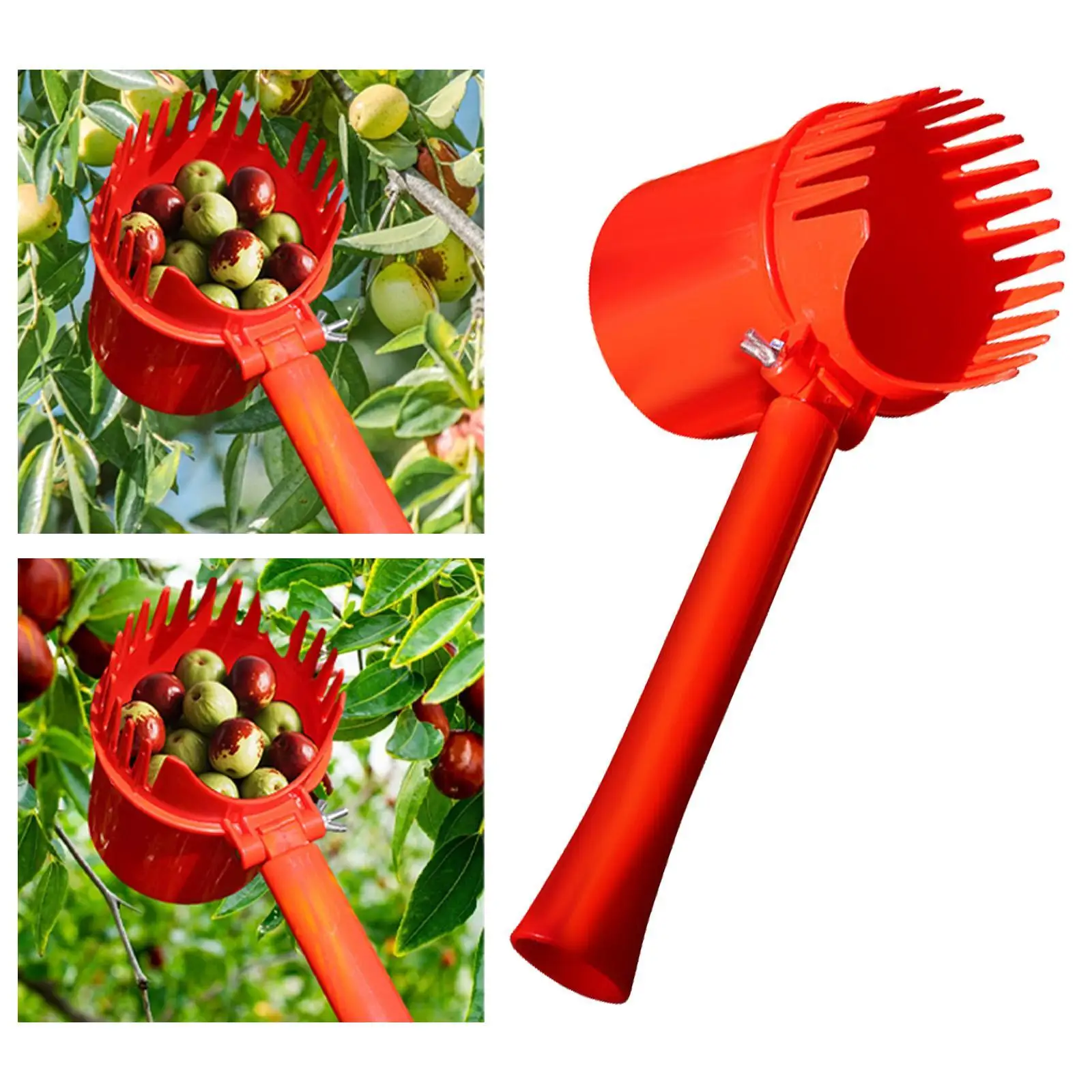 

Fruit Picker Tool Manual Gardening Equipment Small Fruits Harvesting Sturdy Practical Jujube Picking Picker