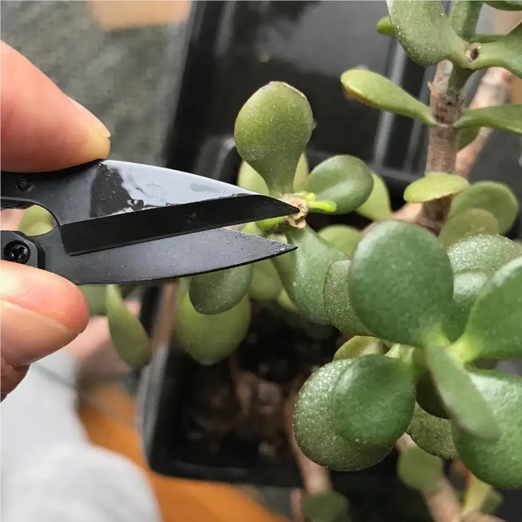 Pruning Shears ABS Garden Trimming Tool Home Accessories Handily Grip Multipurpose Bonsai Scissors U-shaped Mini Trimmer