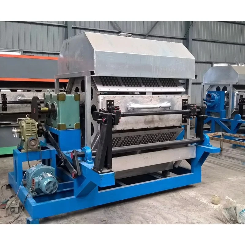 Low Investment Small Scale Egg Tray Production Line | Paper Pulp Molding Machine