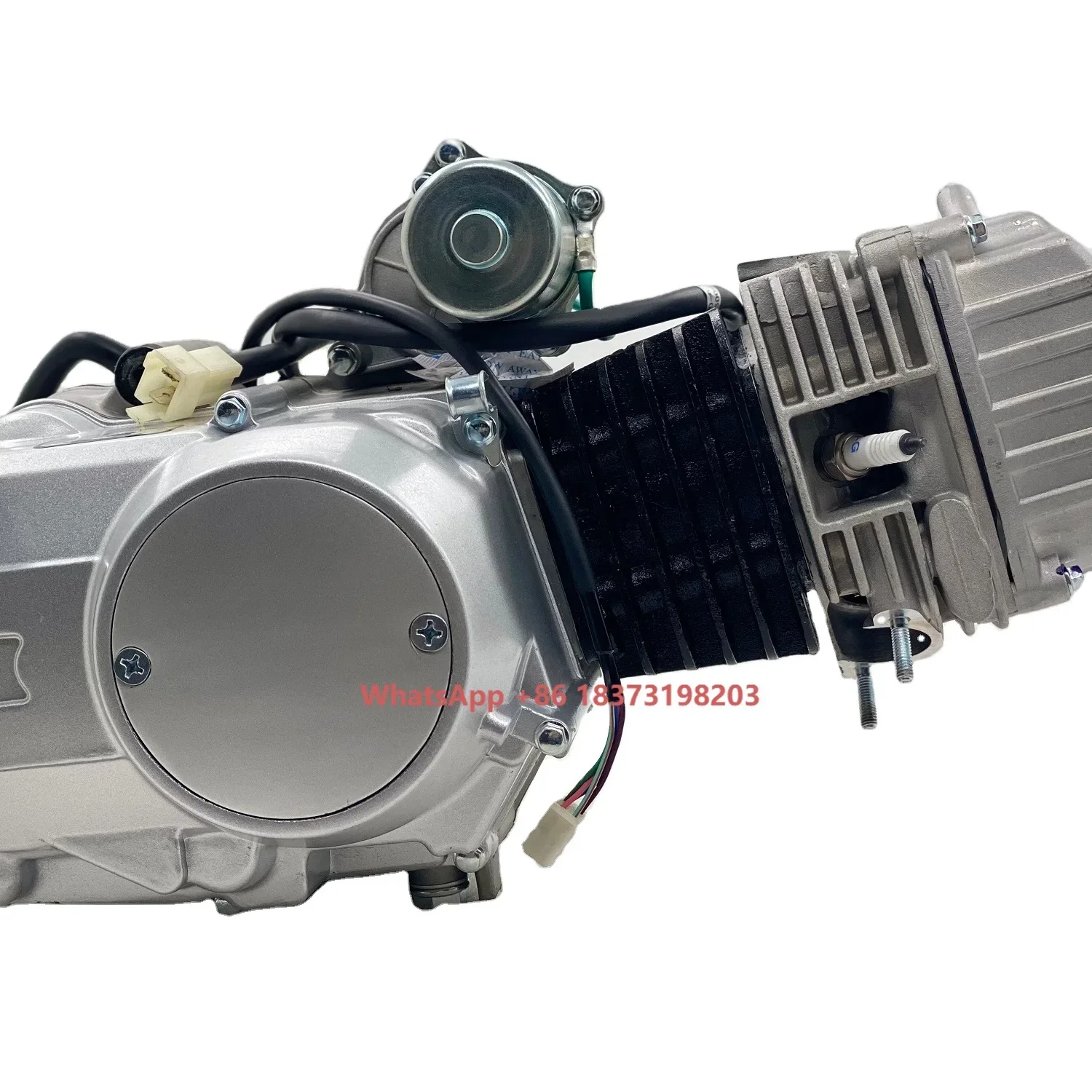 

High Speed 125CC Air-cooled Engine Motorcycle Engine Motorcycle Engine Assembly Kit Max Cylinder Power Style