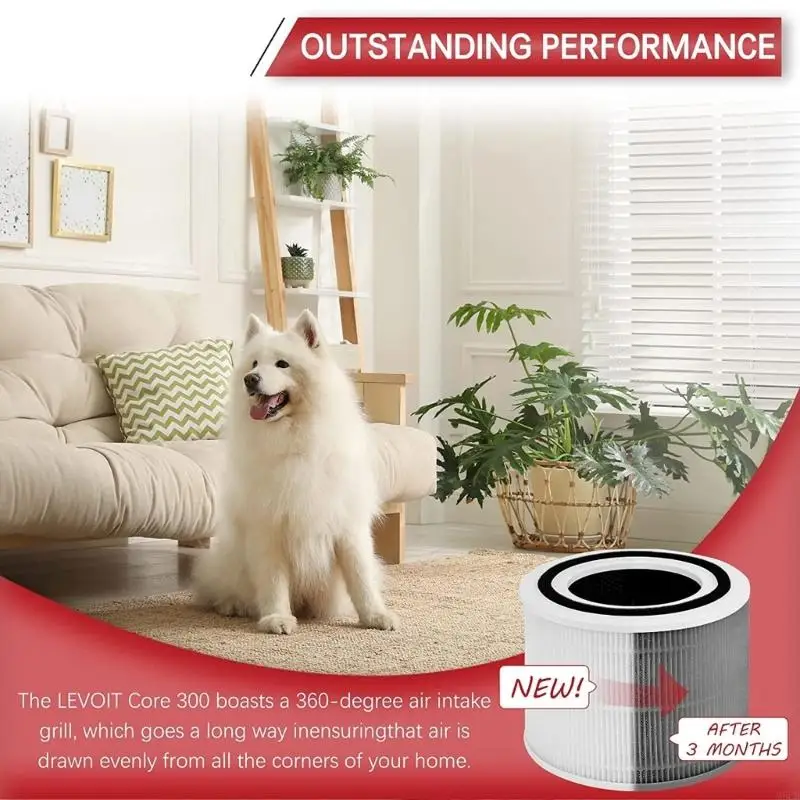 Set m6cb 2 pulitori filtro Pulsanti Purificatore sostituzione Accessorio Accessorio Plastico Materiale per