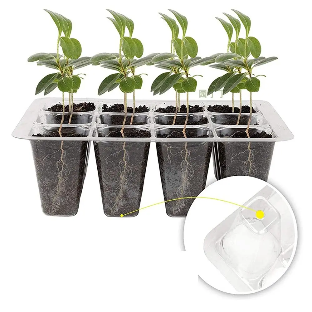 Seed Starter Tray with Plant Light Kit Includes Elevated Seedling Starter Trays with Adjustable Humidity Domes and Clear Cell - view 6