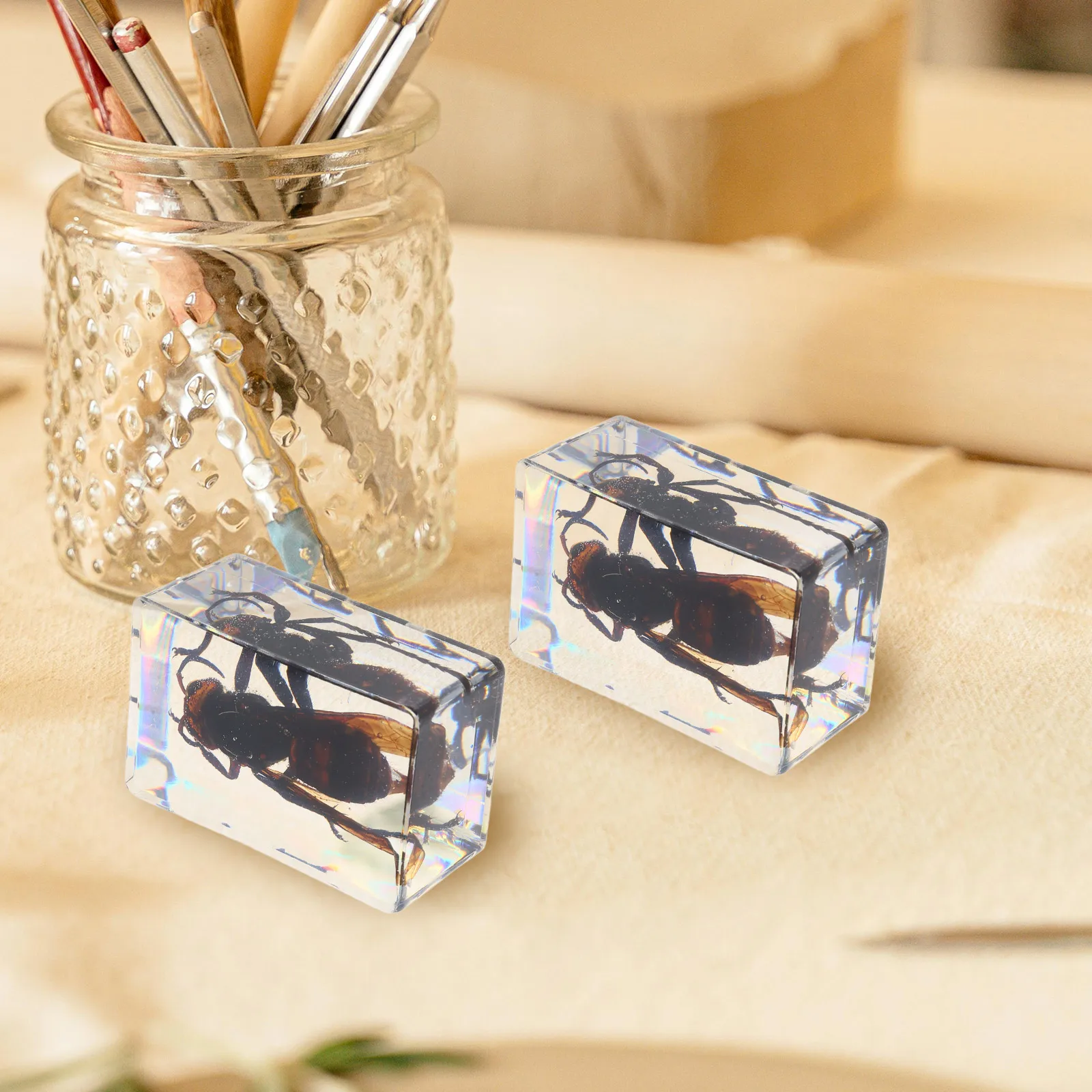 

6pcs Resin Insect Paperweights Handcrafted Animal Specimens Preserved Wasp For Science Education Biology Classroom Display