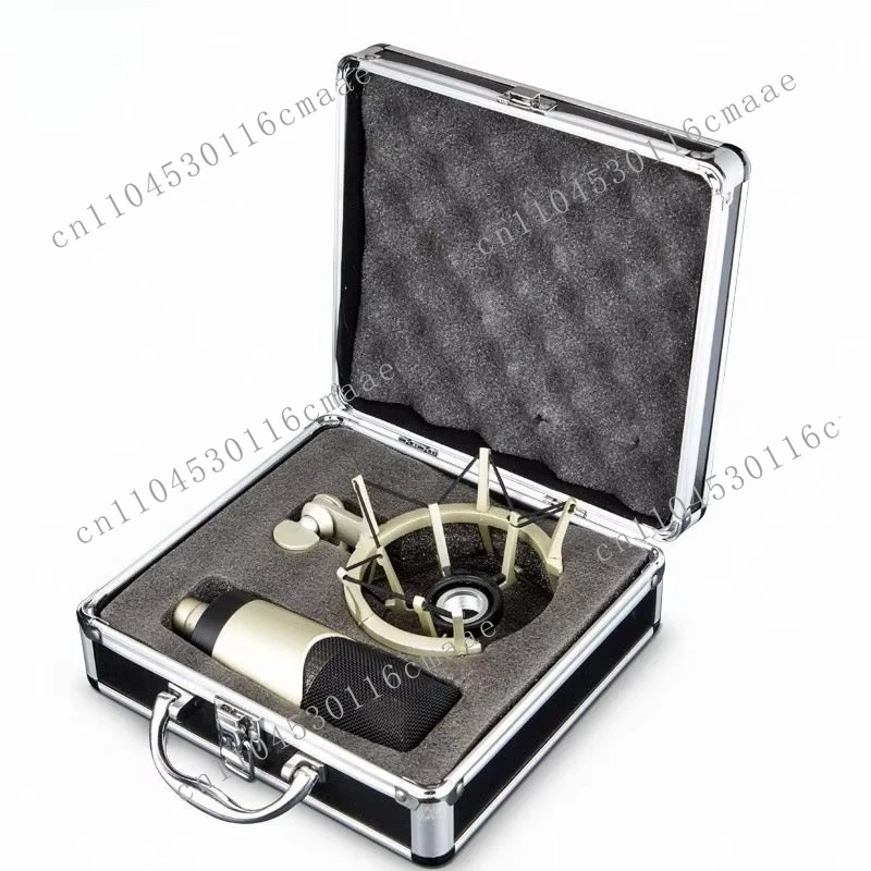 Professional Studio Microphone Condenser Large Diaphragm Microphone for Vocal Recording Computer Podcast Singing