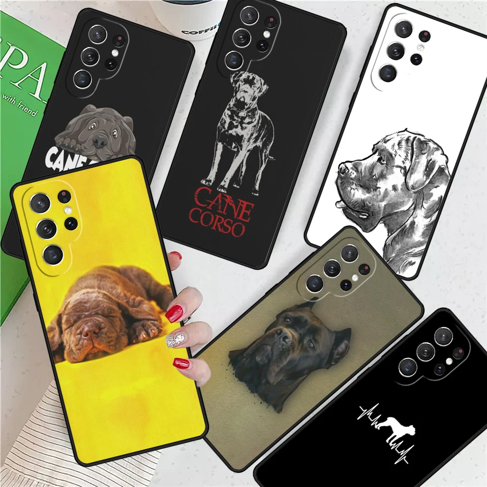 Cane Corso Italian … - image