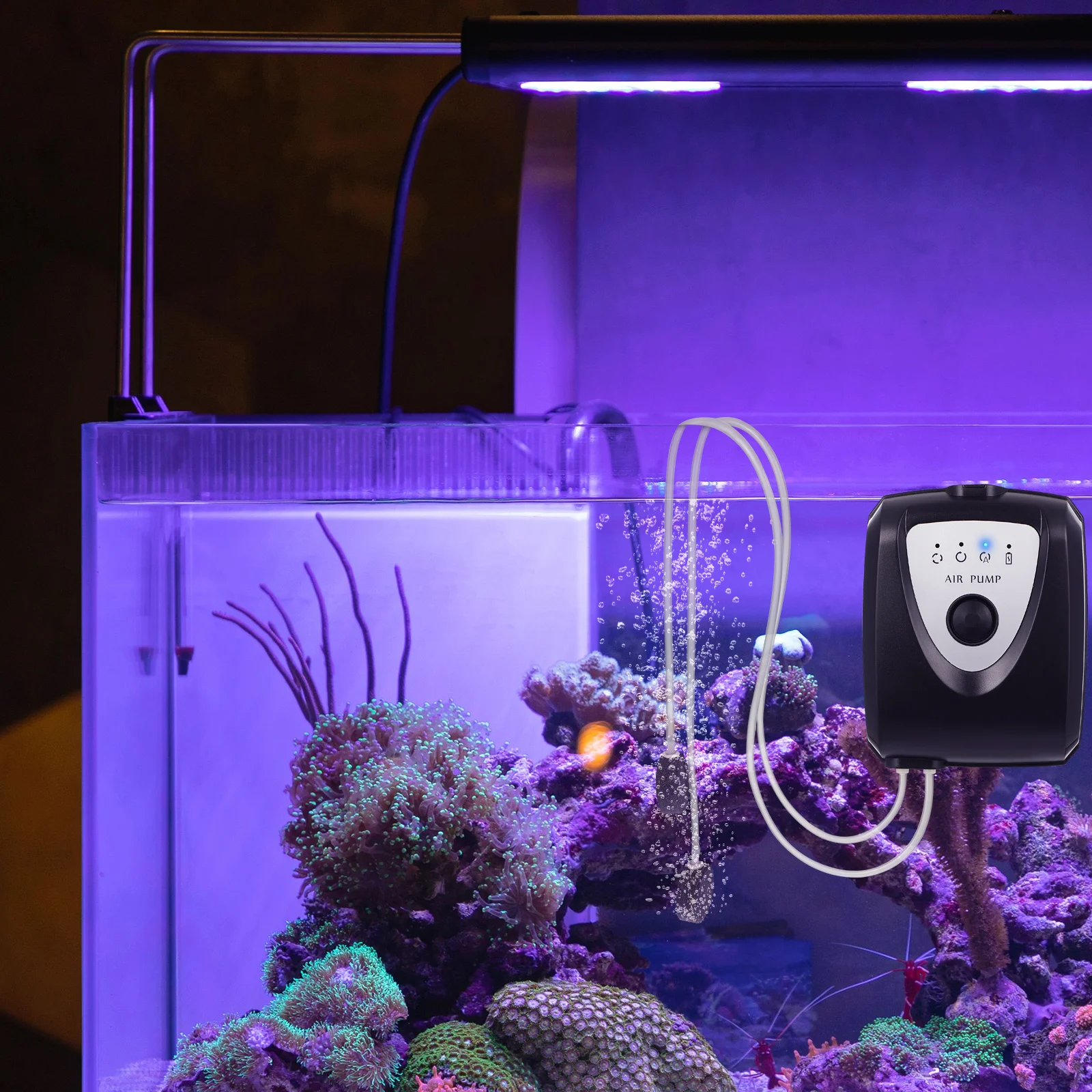 

Air Fish Pond Pump Set Pump Set For Aquarium Fish Tank Oxygenation Usb Charging Pond Aerator Kit Abs Material