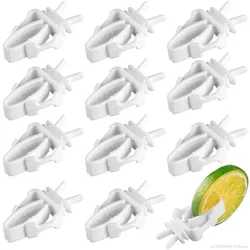 جهاز طيور6/12pcs Parrot Birds Food Clip Bird Cage Feeder Vegetable Fruit Clips For Canaries Cockatoos Finches Bird Cage Supplies