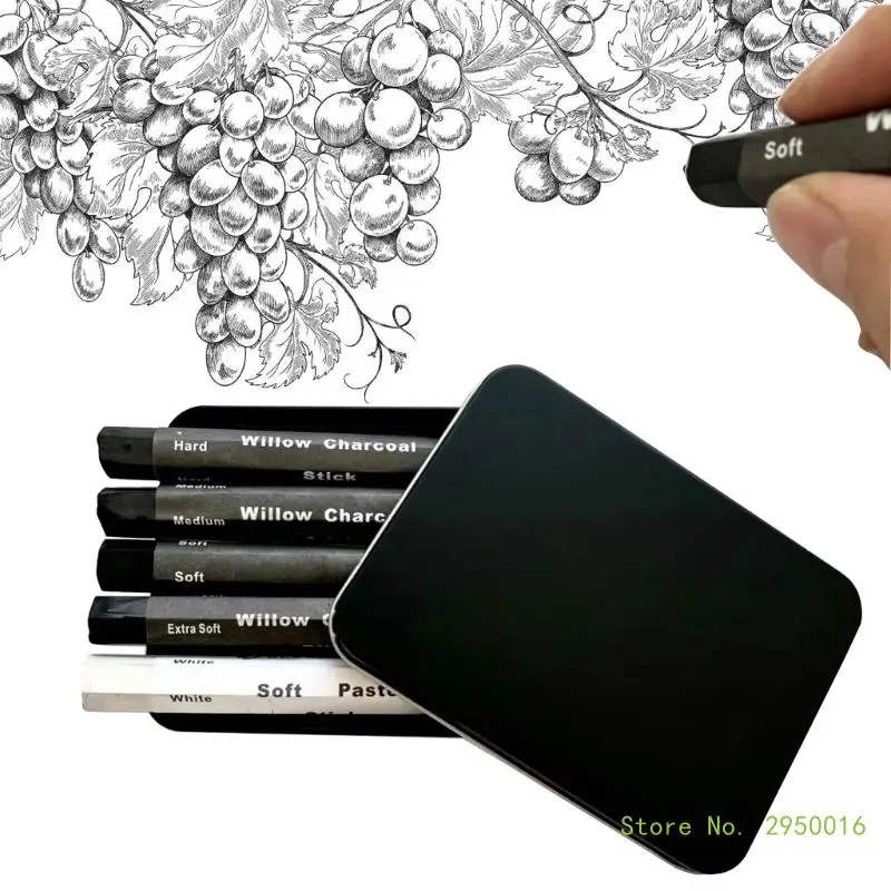 

Water Soluble Charcoal Strips Charcoal Sticks Sketching Charcoal Pencils for Sketching Drawing and Shading Art Supplies