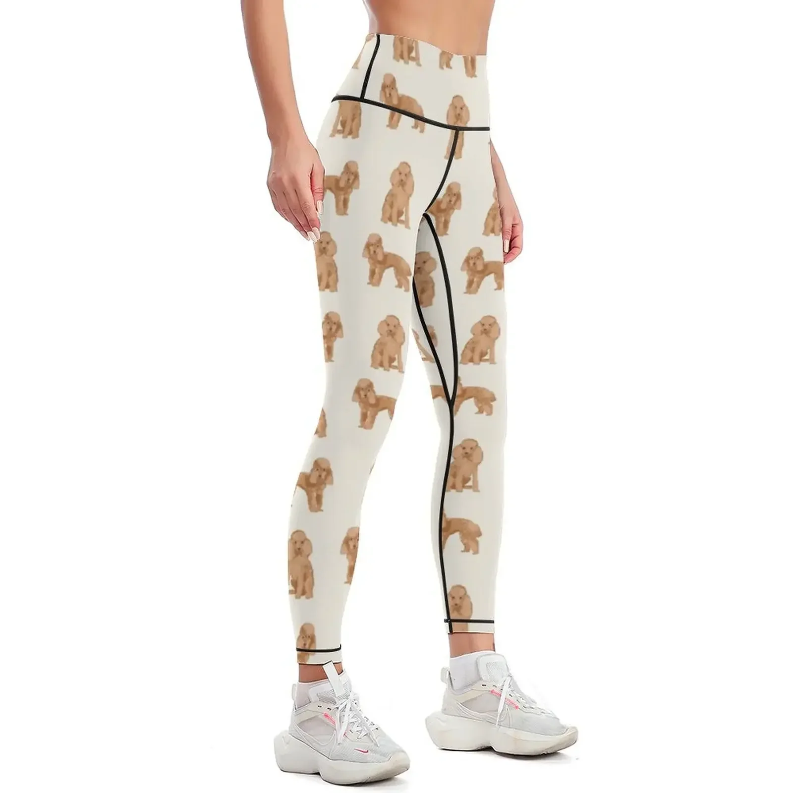 Toy Poodle apricot coat dog breed pet portrait dog breeds poodles Leggings workout clothes for push up fitness Womens Leggings