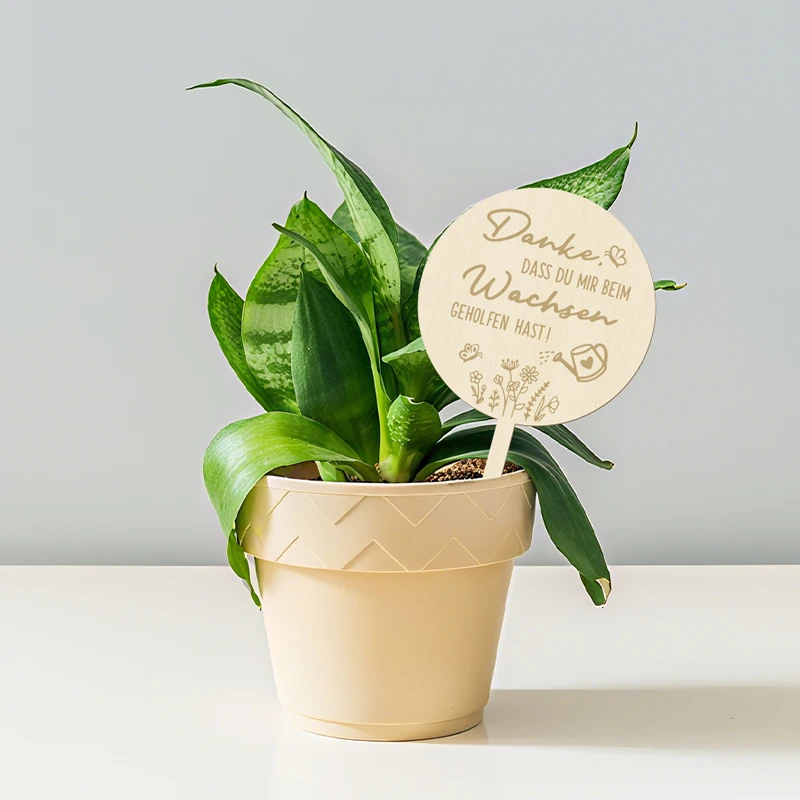 

4 шт. «Спасибо за помощь мне вырастить» этикетки для сочных растений маркеры для растений деревянные таблички для балкона, коридора, украшения сада