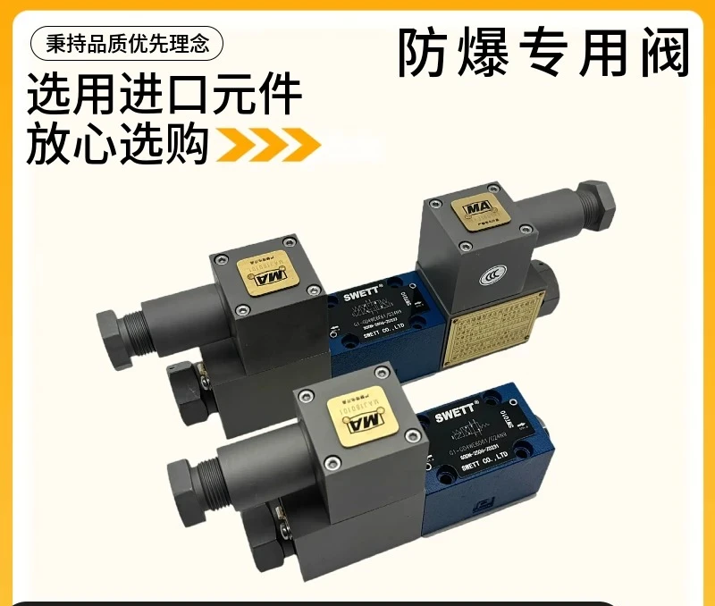 G2-4WE6D-L6X/B2G24 Coal Mine Chemical Explosion-proof Solenoid Valve 10E J Y H G 3X Explosion-proof G1 M