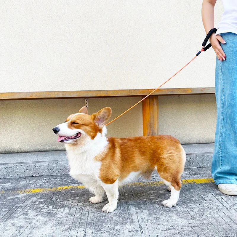 Hot-Selling Stainless Steel Rope And Chain Dog Leash, Explosion-Proof Traction Belt, Pet Supplies For Medium And Large Dogs