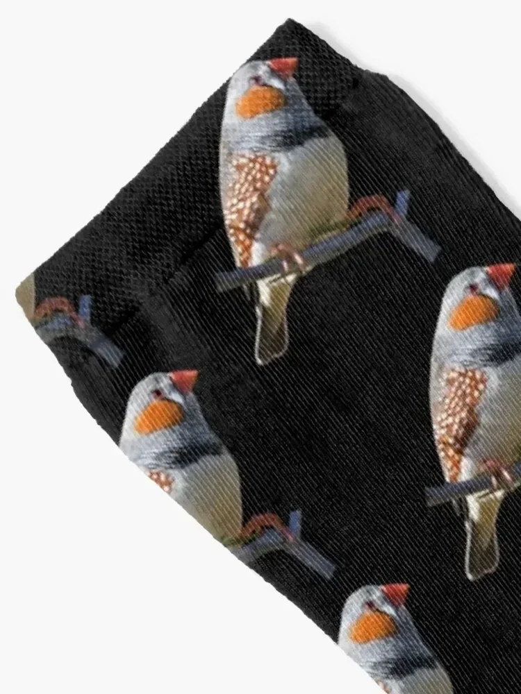 Zebra Finch 5 Socks men cotton high quality designer Women Socks Men's