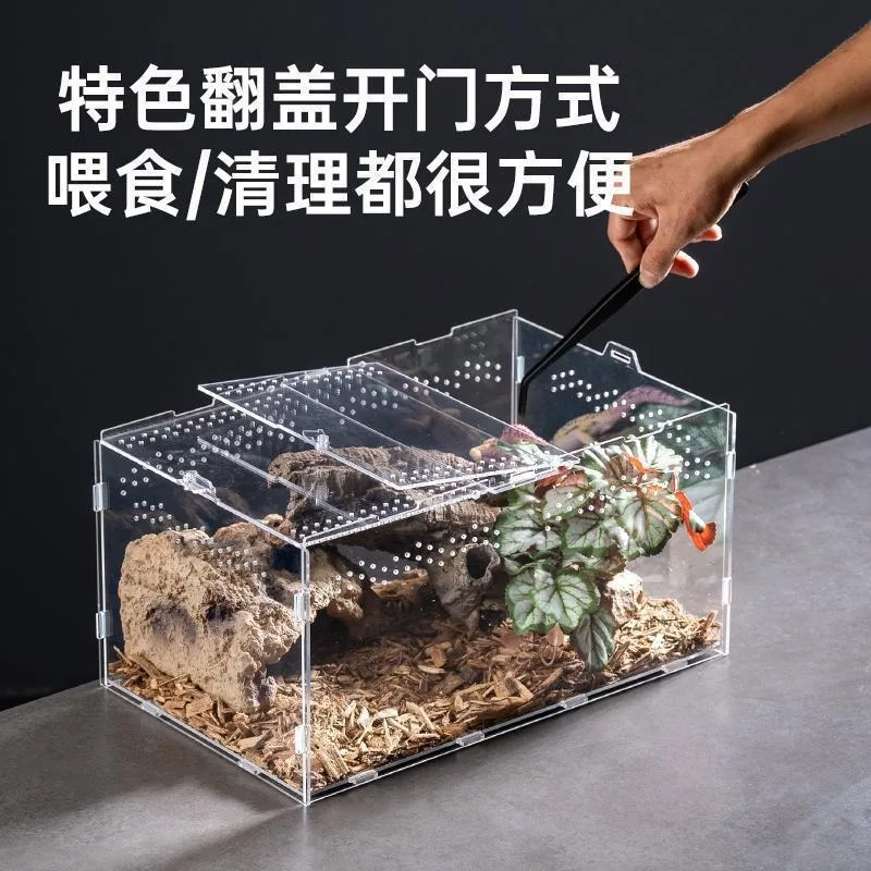 Reptile Terrarium Habitat Breeding Box Acrylic Transparent Reptiles Cage Nano Arboreal Tarantula Enclosure Dearded Dragon 파충류