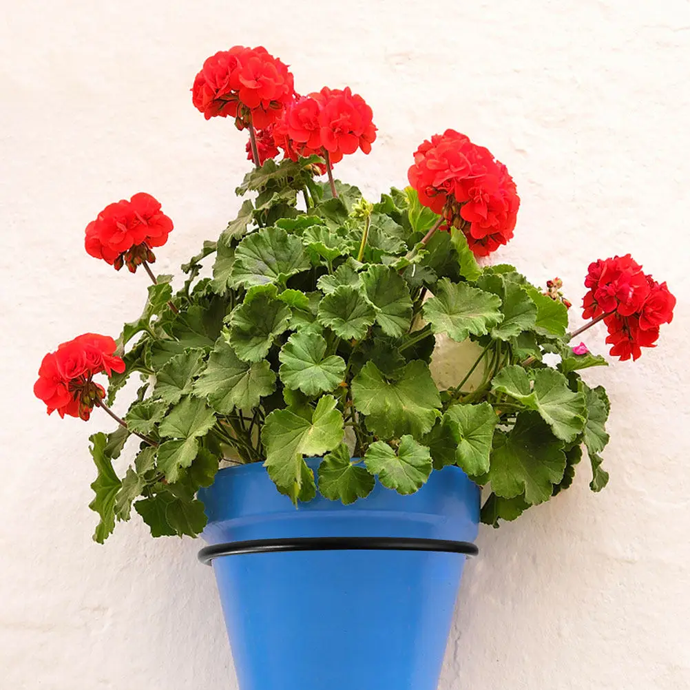 3Pcs Flower Pot Wall Holder Iron Flowerpot Rack Collapsible Wall Mounted Bracket for Home Office Garden Outdoor Planter Storage