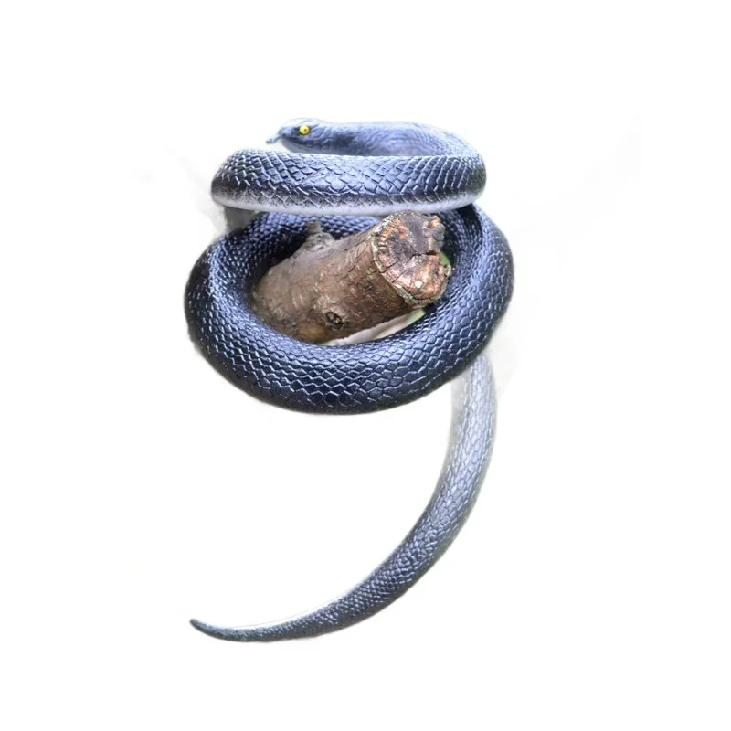 Рисунок 6 - Новинка, забавная игрушка