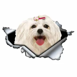 LYKX Lovely Maltese Pet Dog Car Sticker decoración impermeable Window Boot Decal Motorcycle Cover Scratch PVC Decals