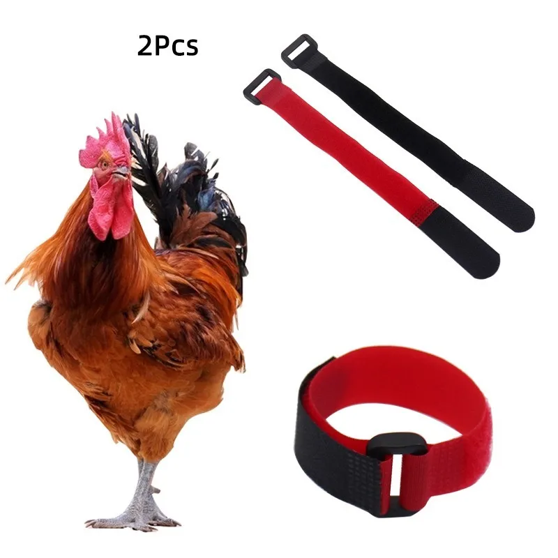 

Anti Crow Collar for Roosters Ducks Geese Noise Reduction Pet Poultry Neckband Farm Animal Accessory