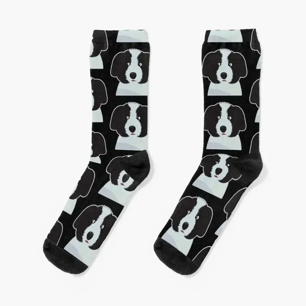 

Bordoodle & Bernedoodle Socks Christmas cycling halloween Socks Women Men's