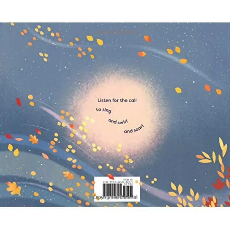 Sophie DiaoI Am The Wind Karg Michael Page Street Kids 9781624149221 Book