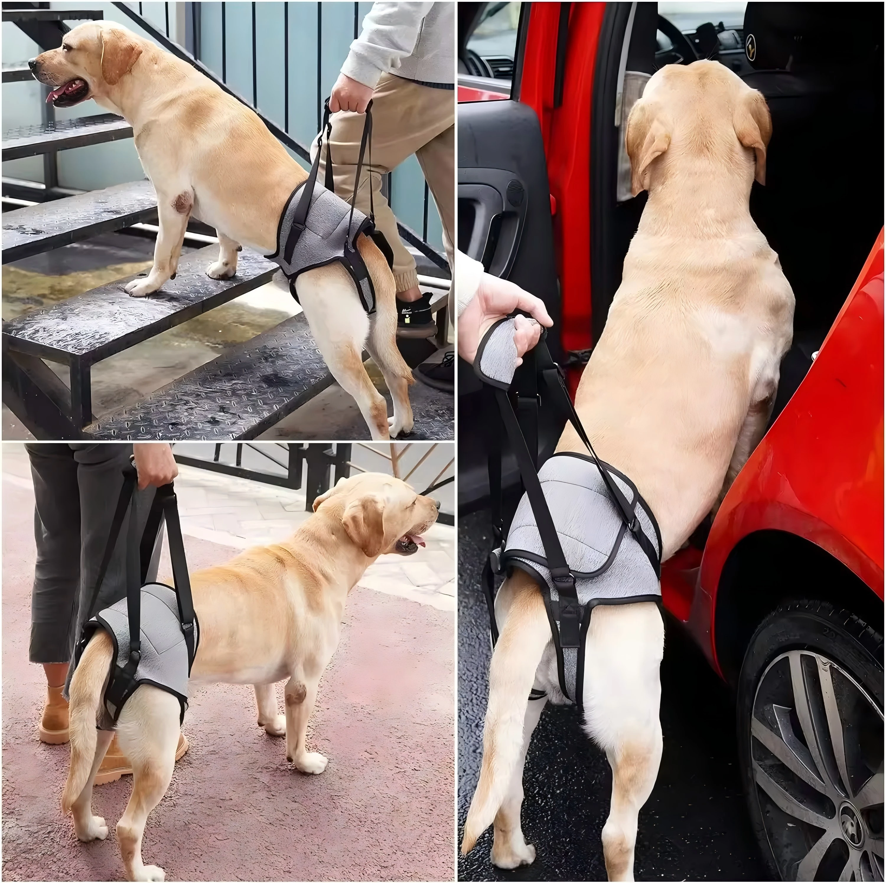 Adjustable Dog Lift Sling Hind Leg Carry Strap Portable Walking Assist Support Belt for Senior Injured Dogs - view 5