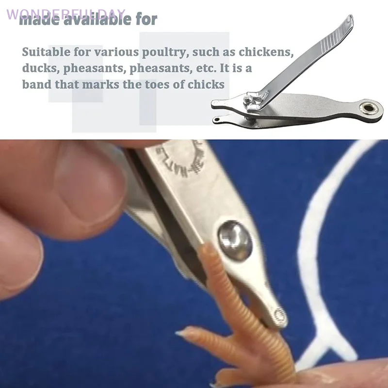 New Chicken Toe Punch - Permanent Identification Tool For Chicks, Ducklings & Mice, Ear Tagging & Toe Marking