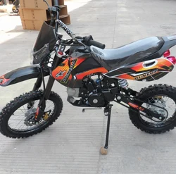 110cc Cheap Adult Gas Dirt Bike/Motorcycle