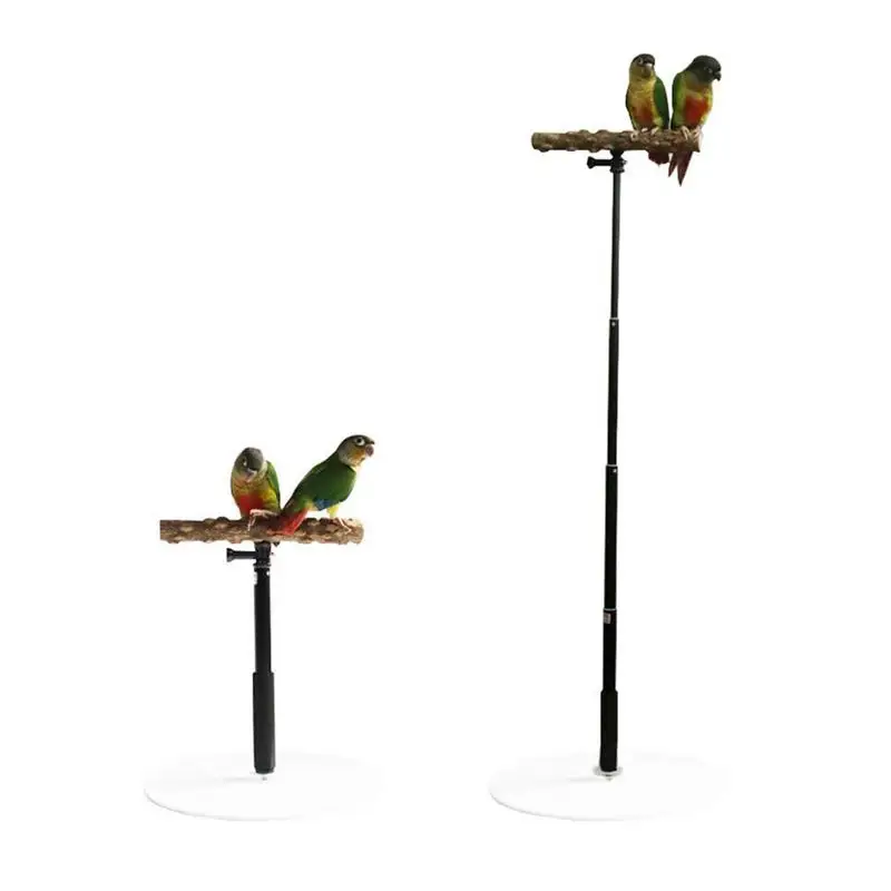 

Parrot Desktop Stand Playstand Bird Plays Stand Cockatiel Playground Wooden Perch Gym Ladder Portable Perch And Training Tool