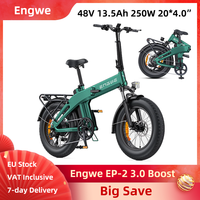 Engwe EP-2 3.0 Boost Electric Bike 250W 48V 13.5Ah 20*4.0\