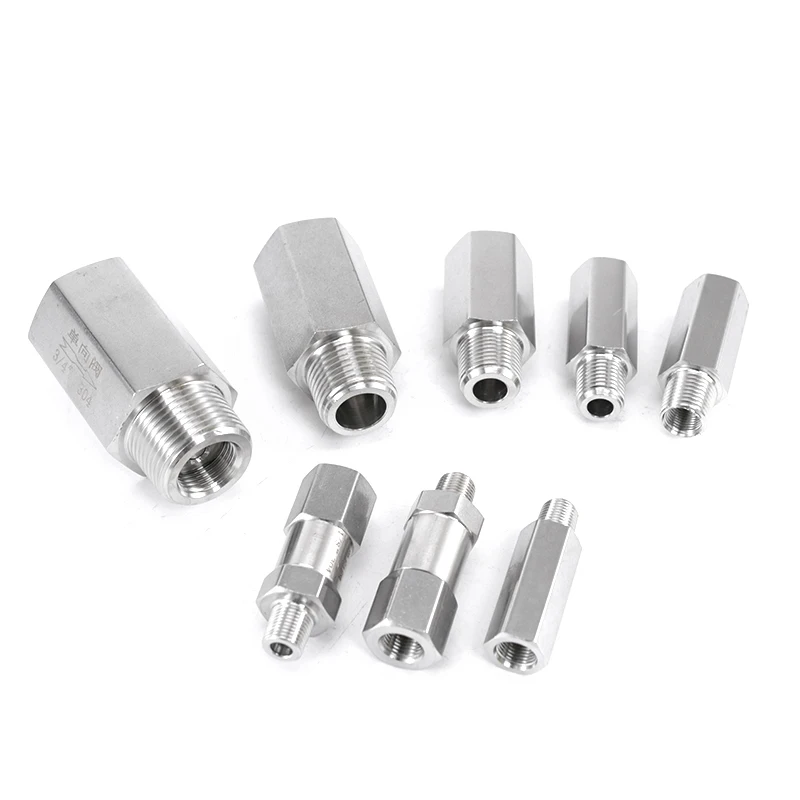 SS304 Check Valve Female to Male 1/8'' 1/4'' 3/8'' 1/2'' 3/4'' 1'' BSPP Thread Stainless One Way Fuel Non Return Check Valve