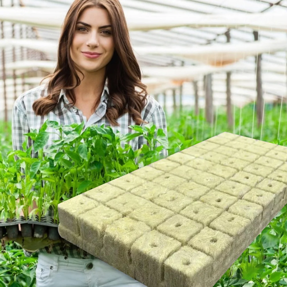 

50 Pcs Seed Substrate Garden Supplies Hydroponics Soilless Cultivation Nutrient Block