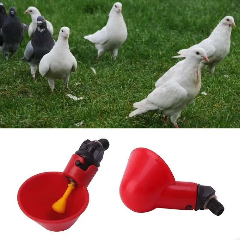 97QD Chicken Bird Waterer Cup Mangkuk Minum Mangkuk Otomatis Mengisi benang 3 inci